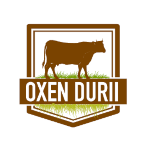 Oxen Durii. Criadores de Vacuno ecológico